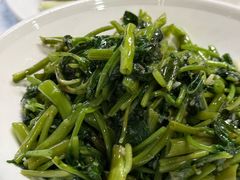 -丁老爷子苏香圆