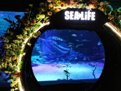 -沈阳海洋探索中心