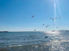 -青岛第二海水浴场