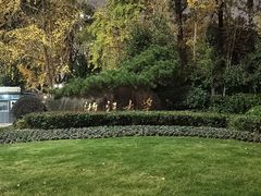 -浙江大学(紫金港校区)