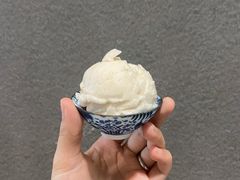 玫瑰金刺梨雪芭-歎雪糕低糖低脂Gelato冰淇淋