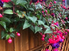 -生态苑农庄(十里画廊遇龙河店)