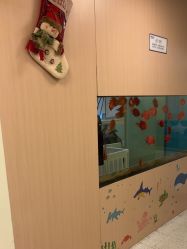 -杭州贝瑞斯美华妇儿医院·早孕·产检·儿科