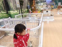-小象动悟公园(龙湖亦庄天街店)