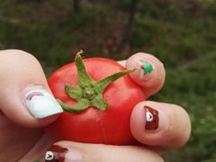 -军山湖云水间生态农业旅游景区