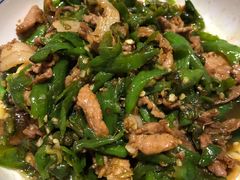 湘村黑猪辣椒炒肉-壹盏灯(惠农店)