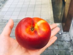 -修卜凡二手严选店·手机维修·回收租赁(川沙地铁站店)