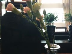 -上海东方佘山翰悦阁酒店·Vie全日制餐厅