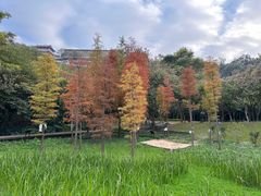 -顺峰山公园