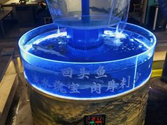 -佬麻雀·剁椒鱼头(京基KK One店)