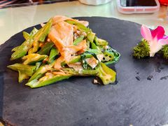 松茸炒秋葵-天厨妙香素食餐厅(清华店)