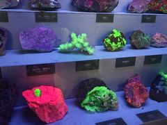 -湖南省地质博物馆