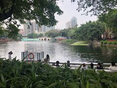 -荔湾湖公园
