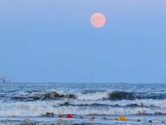 -日照海滨国家森林公园