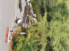 -都江堰中华大熊猫苑