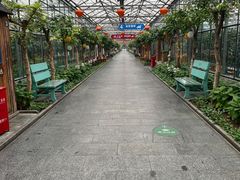 -南宫五洲植物乐园