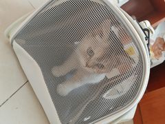 -艾贝尔宠物医院 ·内科全科(梁溪路店)