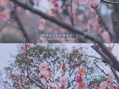 -无锡梅园公园
