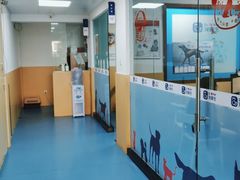 -宠颐生猫科·内科皮肤科(西平世纪城店)