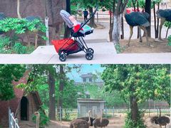 -西安秦岭野生动物园