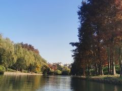 -新江湾城公园