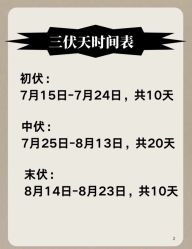 -Fundi张玉珊修身堂·indiba·BTL科技瘦身