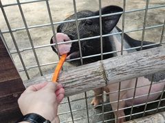 -青青世界