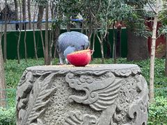 -成都市文殊院