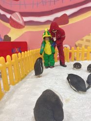 -第五极儿童乐园