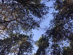 -黑龙江省森林植物园