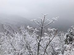 -妙峰山风景名胜区