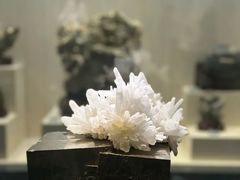 -安徽省地质博物馆