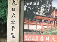 -奈良公园
