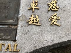 -上海交通大学医学院附属瑞金医院(总院)