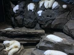 -郑州海洋馆