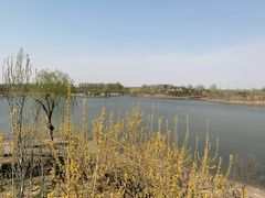 -东郊湿地公园