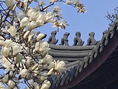 -灵谷景区