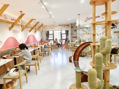 -喵园·猫主题咖啡厅·撸猫·猫咖(国贸店)