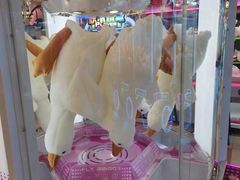 -汤姆熊欢乐世界(罗斯福店)