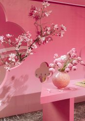 -DC大蔡婚礼策划(李公堤店)