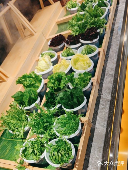 一方渔歌蒸汽海鲜自助(文化路万达广场店)图片