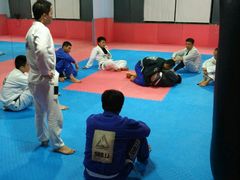 android_upload_pic-金翼跆拳道巴西柔术拳击格斗学院