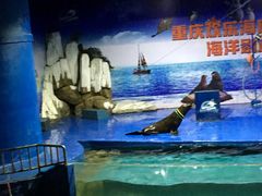-重庆欢乐海底世界