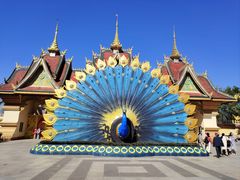 -西双版纳勐泐文化旅游区