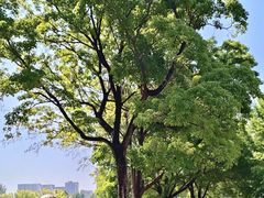 -郑州植物园