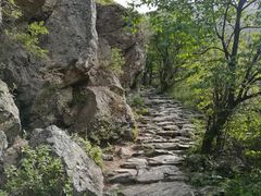 -阳台山自然风景区