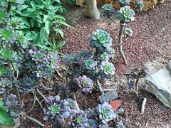 -南通洲际绿博园