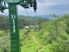 -磬锤峰森林公园