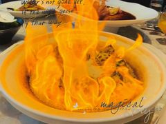 -甄御•海鲜新青岛菜(麦岛店)