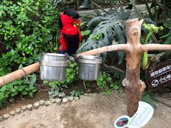 -南宫温泉水世界